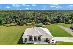10174 SW COUNTY ROAD 769, ARCADIA, FL 34269 - MLS#MFRC7516638