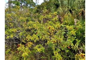 E HALLMARK BLVD, NORTH PORT, FL 34288 Sold 03/02/26