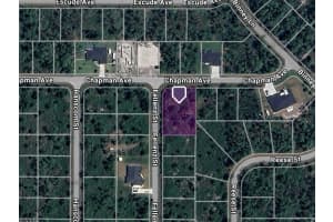 12115 CHAPMAN AVENUE, PORT CHARLOTTE, FL 33953 - MLS#MFRC7516743