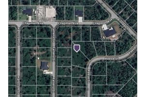 463 REESE STREET, PORT CHARLOTTE, FL 33953 - MLS#MFRC7516745