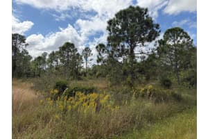 27409 MANDALAY DRIVE, PUNTA GORDA, FL 33955 - MLS#MFRC7516816