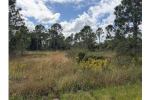 27409 MANDALAY DRIVE, PUNTA GORDA, FL 33955 - MLS#MFRC7516816