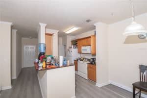 18103 BACK STRETCH LANE, TAMPA, FL 33647 - MLS#MFRC7517242