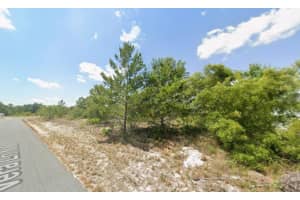 103-105 VERA LANE, LAKE PLACID, FL 33852 - MLS#MFRC7517384