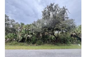 RAYFIELD DR, NORTH PORT, FL 34291 - MLS#MFRC7517435