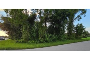 133 VALDIVA STREET, PUNTA GORDA, FL 33983 - MLS#MFRC7517442