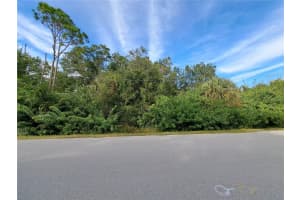 27412 &27418 TWIN LAKES DRIVE, PUNTA GORDA, FL 33955 - MLS#MFRC7517556