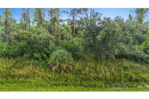 BAYWOOD AVE, NORTH PORT, FL 34288 - MLS#MFRC7517583