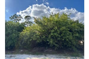 4363 BOGGS STREET, PORT CHARLOTTE, FL 33948 - MLS#MFRC7517852