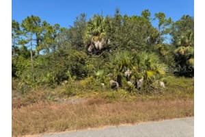 LOT 2 MATTOX CIRCLE, NORTH PORT, FL 34288 - MLS#MFRC7517973