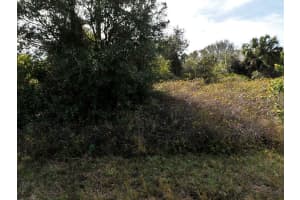 NEWMAN DR, NORTH PORT, FL 34288 - MLS#MFRC7518497