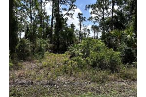 EINSTEIN ST, NORTH PORT, FL 34291 - MLS#MFRC7518570