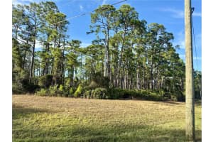 TROPICAIRE BLVD, NORTH PORT, FL 34286 - MLS#MFRC7518970