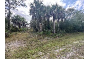 26129 FLOWER ROAD, PUNTA GORDA, FL 33955 - MLS#MFRC7519057