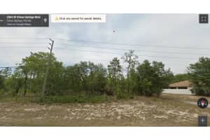 2565 CITRUS SPRINGS BOULEVARD, CITRUS SPRINGS, FL 34434 - MLS#MFRC7519164