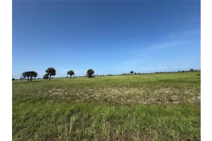 55 BEGONIA DRIVE, PLACIDA, FL 33946 - MLS#MFRC7519231