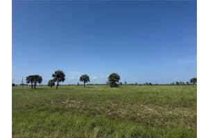 55 BEGONIA DRIVE, PLACIDA, FL 33946 - MLS#MFRC7519231