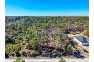 18079 RAMSEY ROAD, WEEKI WACHEE, FL 34614 Sold 03/27/26