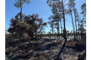 FIELDERS RD, NORTH PORT, FL 34288 - MLS#MFRC7519537