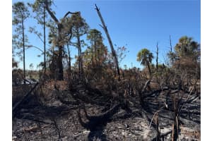 FIELDERS RD, NORTH PORT, FL 34288 - MLS#MFRC7519537