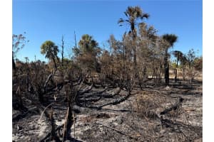 FIELDERS RD, NORTH PORT, FL 34288 - MLS#MFRC7519537