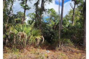 ANANAS RD, NORTH PORT, FL 34288 - MLS#MFRC7519623