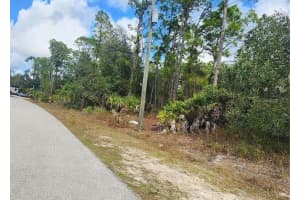 ANANAS RD, NORTH PORT, FL 34288 - MLS#MFRC7519623