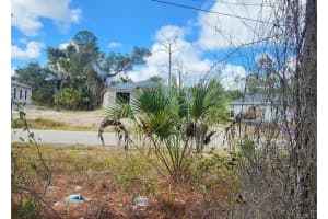 ANANAS RD, NORTH PORT, FL 34288 - MLS#MFRC7519623