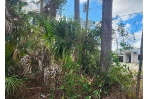 ANANAS RD, NORTH PORT, FL 34288 - MLS#MFRC7519623