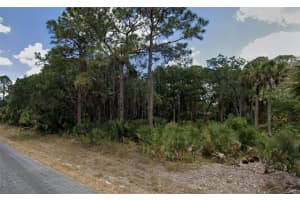 328 MYERS STREET, PORT CHARLOTTE, FL 33953 - MLS#MFRC7519689