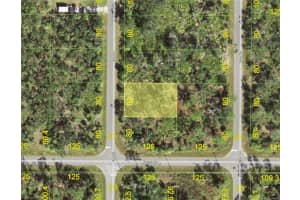 1520 CAPEL STREET, PORT CHARLOTTE, FL 33953 - MLS#MFRC7519828