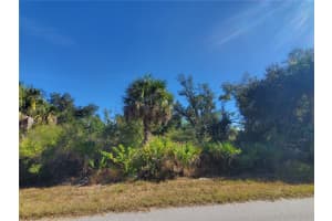 1520 CAPEL STREET, PORT CHARLOTTE, FL 33953 - MLS#MFRC7519828