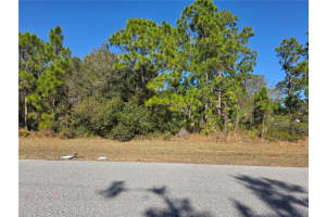 HORNBUCKLE BLVD, NORTH PORT, FL 34291 - MLS#MFRC7519836