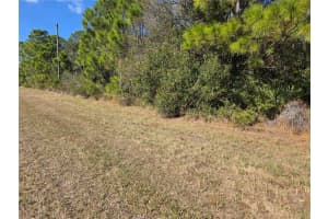 HORNBUCKLE BLVD, NORTH PORT, FL 34291 - MLS#MFRC7519836