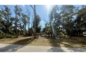 18141 CHEYENNE AVENUE, PORT CHARLOTTE, FL 33954 - MLS#MFRC7520037