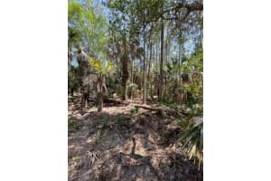 49765 BERMONT ROAD, PUNTA GORDA, FL 33982 - MLS#MFRC7520108