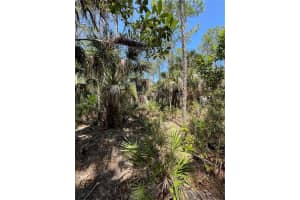 49765 BERMONT ROAD, PUNTA GORDA, FL 33982 - MLS#MFRC7520108