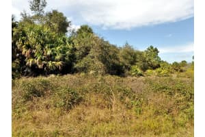 N HOLLOWAY AVE, NORTH PORT, FL 34288 - MLS#MFRC7520193