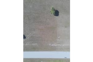 12455 BLUE MARLIN ROAD, PLACIDA, FL 33946 - MLS#MFRC7520211