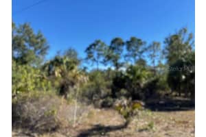 28165 MONTE CRISTO DRIVE, PUNTA GORDA, FL 33955 - MLS#MFRC7520477