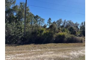 28165 MONTE CRISTO DRIVE, PUNTA GORDA, FL 33955 - MLS#MFRC7520477