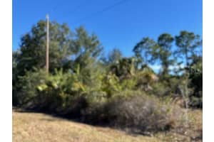 28165 MONTE CRISTO DRIVE, PUNTA GORDA, FL 33955 - MLS#MFRC7520477