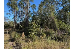 13636 SULKY DRIVE, PUNTA GORDA, FL 33955 - MLS#MFRC7520486