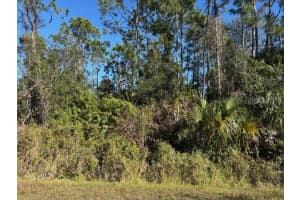 13636 SULKY DRIVE, PUNTA GORDA, FL 33955 - MLS#MFRC7520486