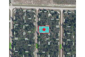 1255 LORCA STREET, LAKE PLACID, FL 33852 Sold 02/12/26