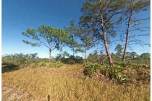 1255 LORCA STREET, LAKE PLACID, FL 33852 Sold 02/12/26