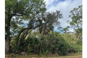 2433 LARGO STREET, PUNTA GORDA, FL 33980 - MLS#MFRC7520565