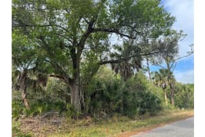 2433 LARGO STREET, PUNTA GORDA, FL 33980 - MLS#MFRC7520565