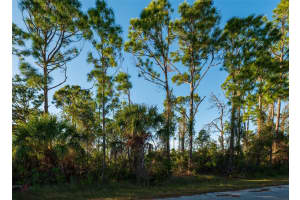 8281 DIMSTEAD ST., PORT CHARLOTTE, FL 33981 - MLS#MFRC7520707