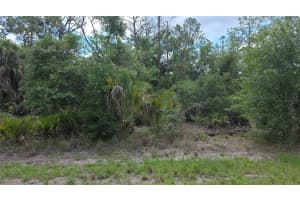 1064 BORDER STREET, PORT CHARLOTTE, FL 33953 - MLS#MFRC7520855